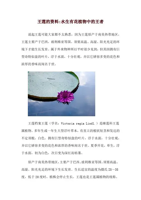 王莲的资料-水生有花植物中的王者