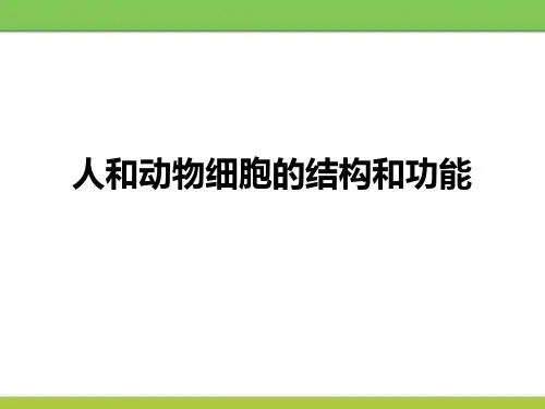 最新苏教版七年级生物上册《人和动物细胞的结构和功能》ppt教学课件
