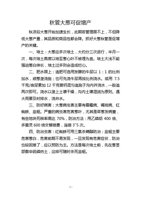 秋管大葱可促增产
