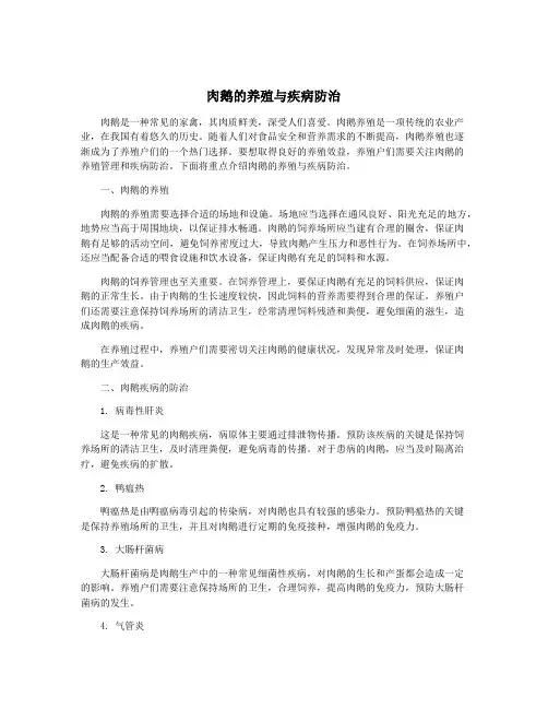 肉鹅的养殖与疾病防治