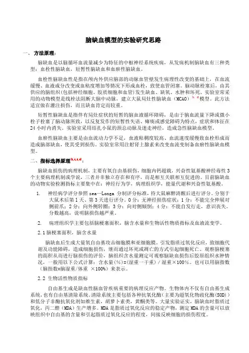 脑缺血模型研究思路