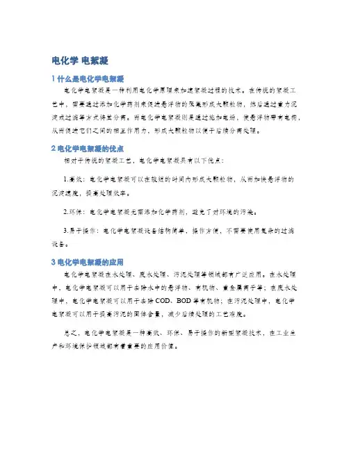 电化学 电絮凝
