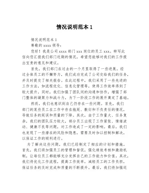 情况说明范本13篇