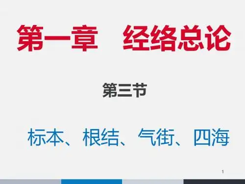 经络总论  ppt课件