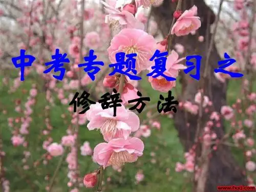 中考语文专项复习--修辞