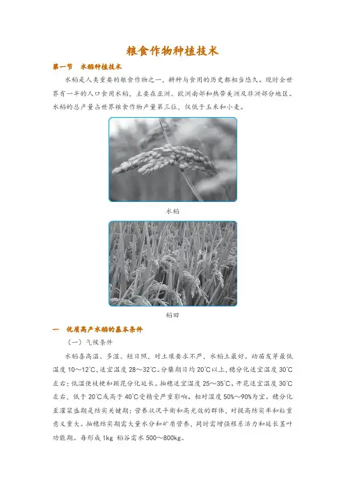 粮食作物种植技术