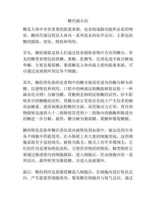 糖代谢小结