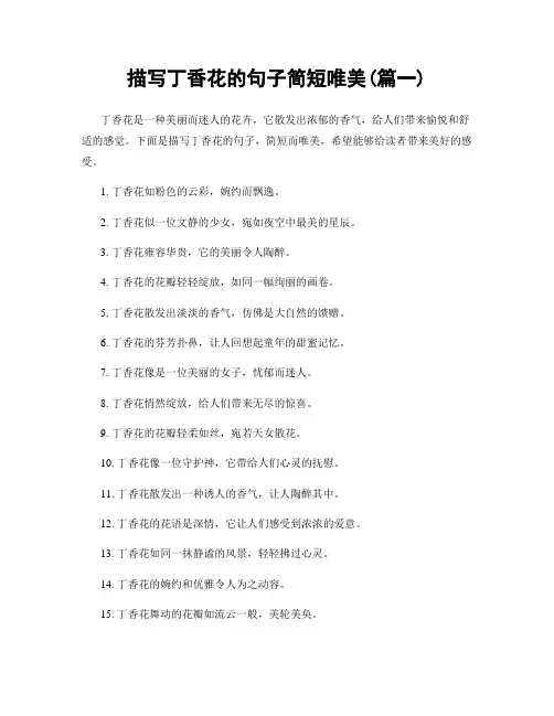 描写丁香花的句子简短唯美(精选两篇)
