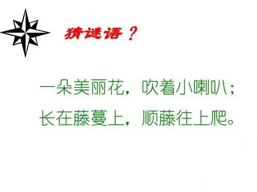 北师版一年级语文丁丁和牵牛花课件