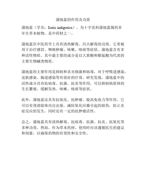 蒲地蓝的作用及功效