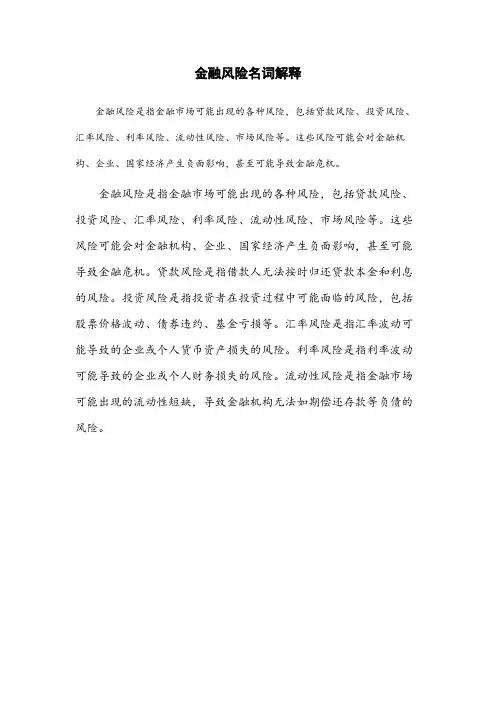 名词解释 金融风险