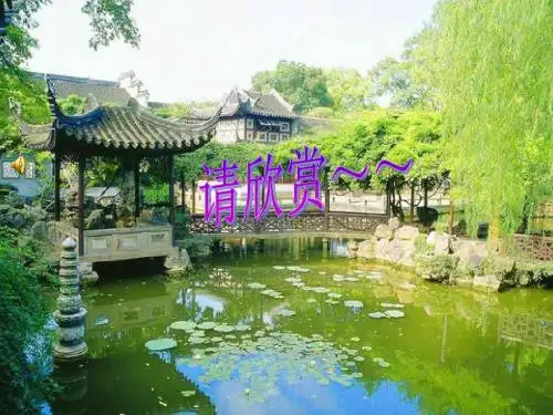歌声与微笑-常彩霞