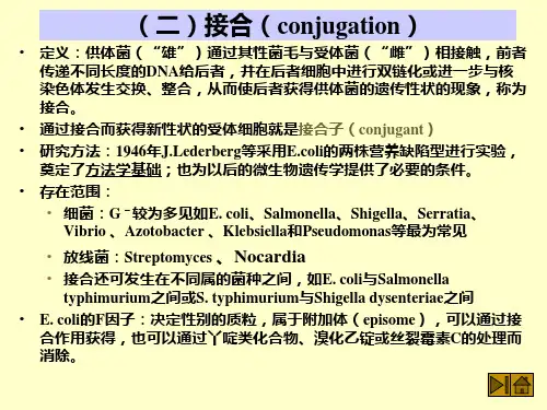 复旦普通微生物学46