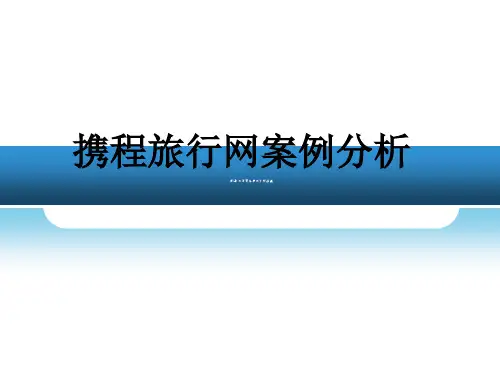 携程l旅行网案例分析