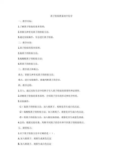 离子检验教案初中化学