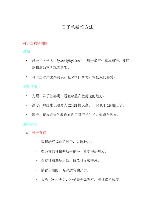 君子兰栽培方法