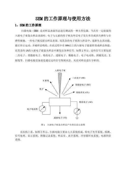 (完整版)SEM工作原理与使用方法