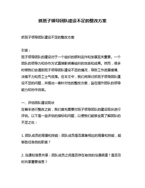抓班子领导团队建设不足的整改方案