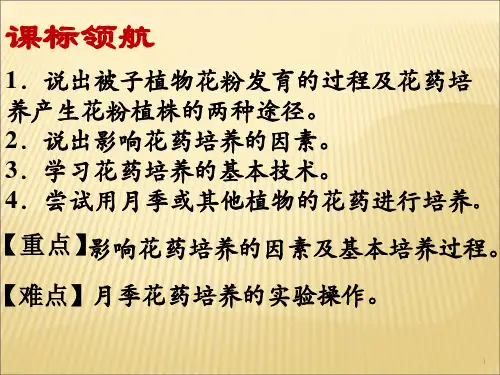 课题2月季的花药培养.ppt