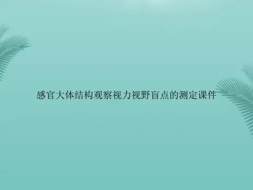 【优秀文档】感官大体结构观察视力视野盲点的测定PPT资料