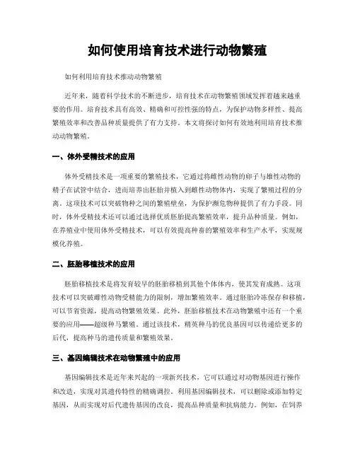如何使用培育技术进行动物繁殖