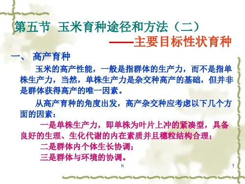 《玉米育种》PPT课件