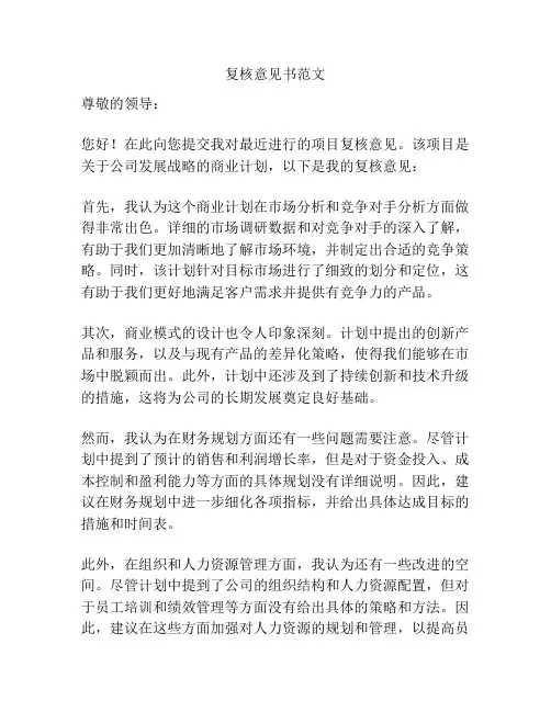 复核意见书范文