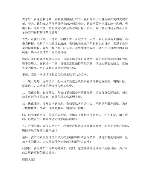 业绩冲刺启动会领导发言稿