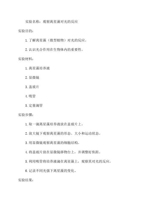 七年级上学期生物实验报告