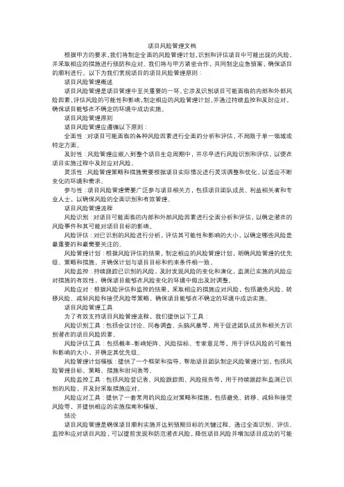 项目风险管理文档