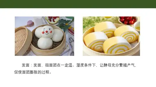 5.3  探究酵母菌细胞呼吸的方式——课件