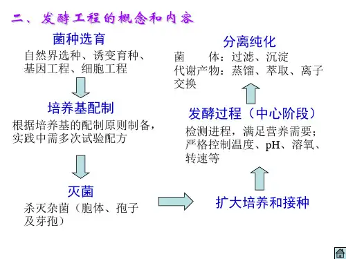 高三生物发酵工程简介