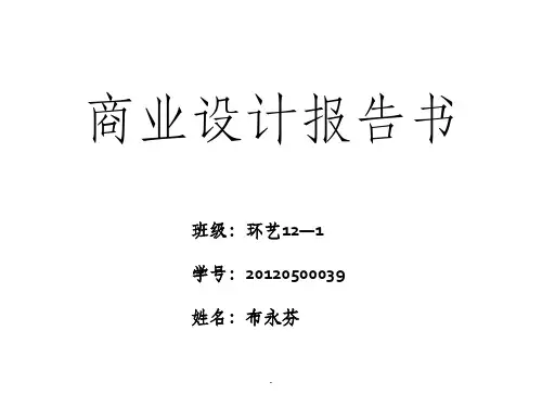 服装店设计报告书(商业空间设计)
