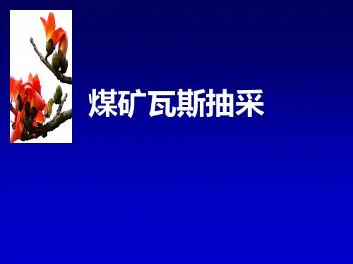 煤矿瓦斯抽采