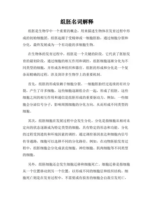 组胚名词解释