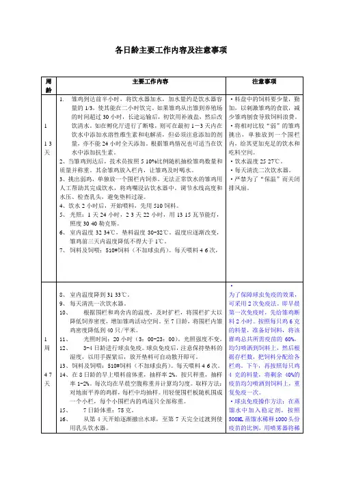 蛋鸡各周龄主要工作内容及注意事项