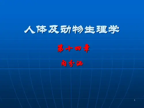 腺垂体激素腺垂体激素有PPT课件