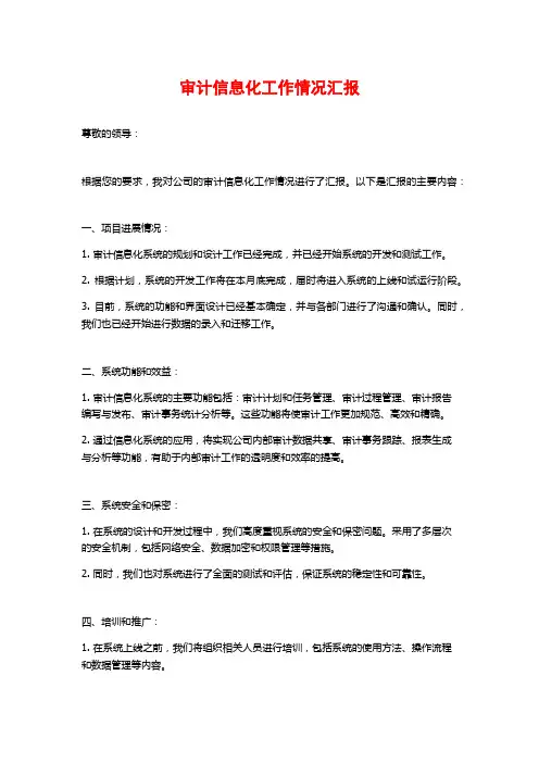 审计信息化工作情况汇报