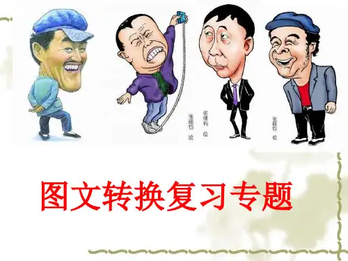图文转换复习专题精品PPT课件