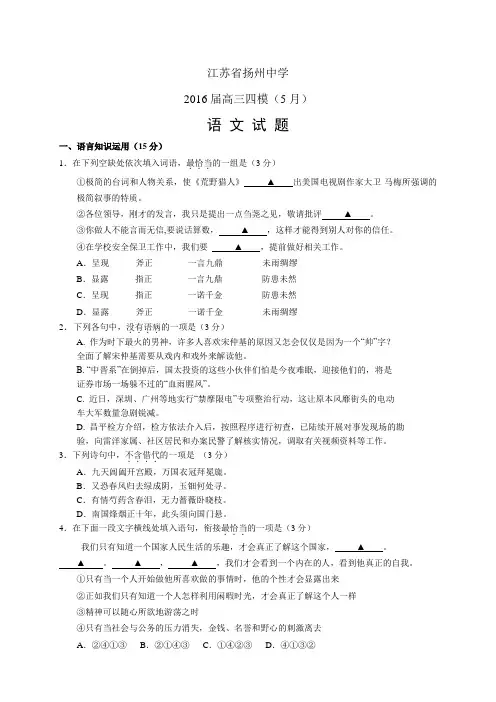 江苏省扬州中学高三四模(5月)——语文语文