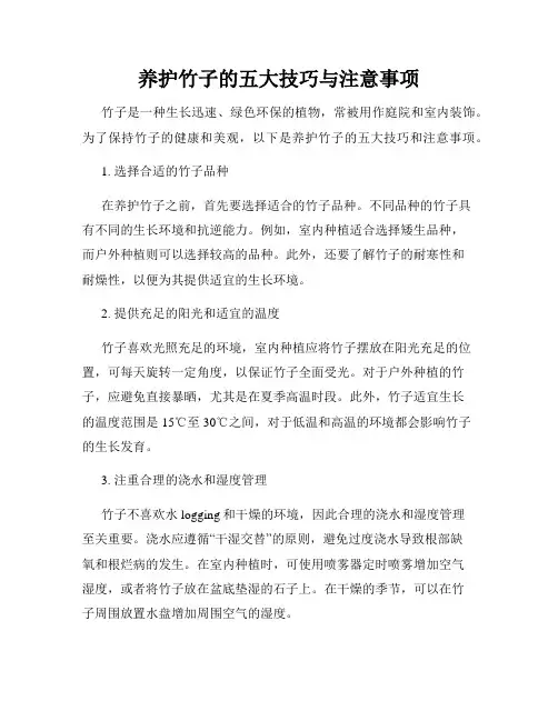 养护竹子的五大技巧与注意事项