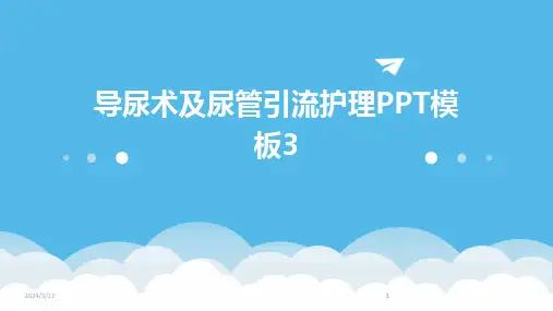 2024年度导尿术及尿管引流护理PPT模板3(1)