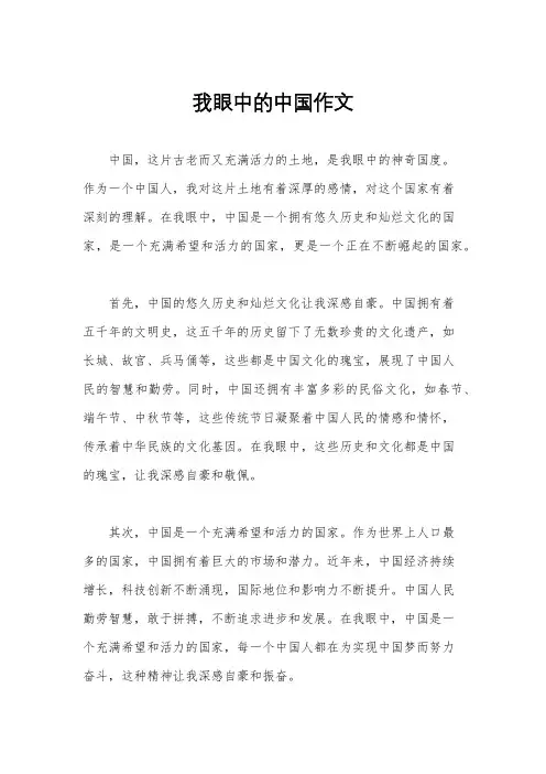 我眼中的中国作文