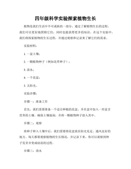 四年级科学实验探索植物生长