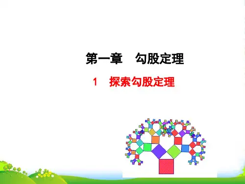 北师大版八年级数学上册《探索勾股定理》课件(24张PPT)