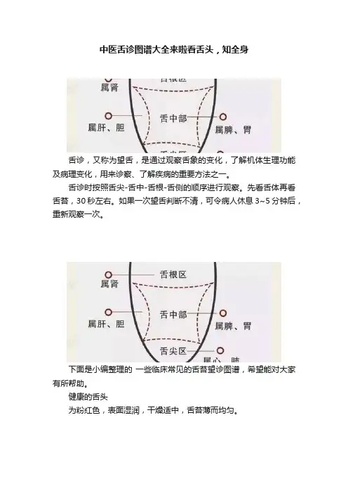 中医舌诊图谱大全来啦看舌头，知全身