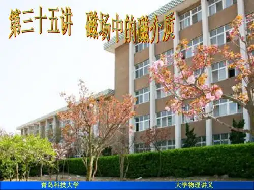 磁场中的磁介质
