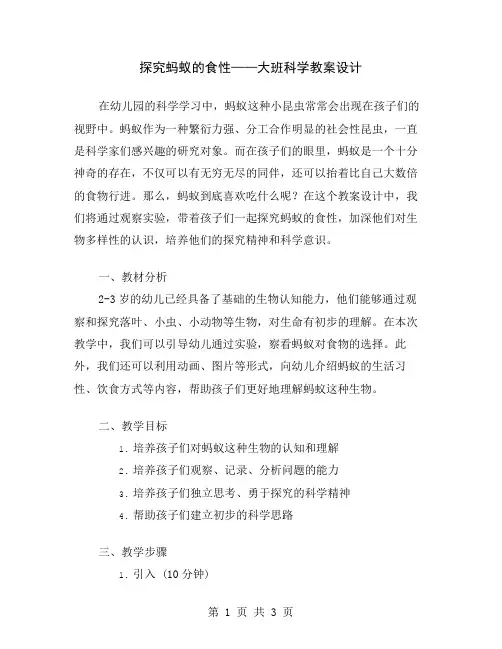 探究蚂蚁的食性——大班科学教案设计