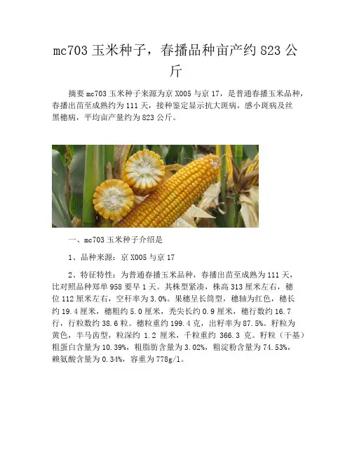 mc703玉米种子,春播品种亩产约823公斤