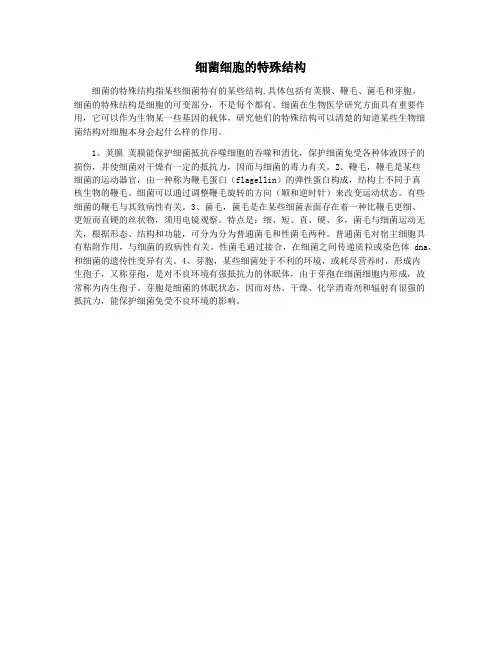 细菌细胞的特殊结构